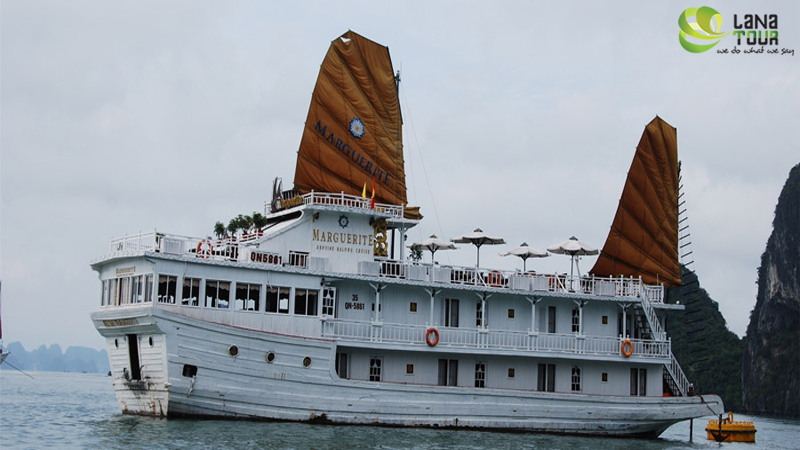 MARGUERITE CRUISE
